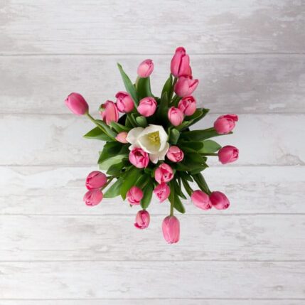 Buchet "Tulips"-buchet tulips 2