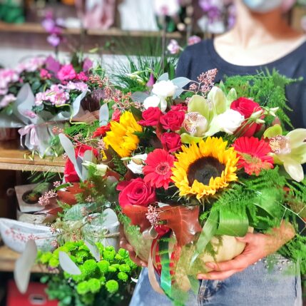 Red pumpkins-20201008 171447 01