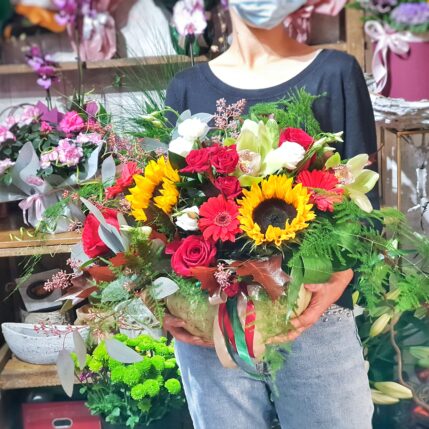 Red pumpkins-20201008 171502 01