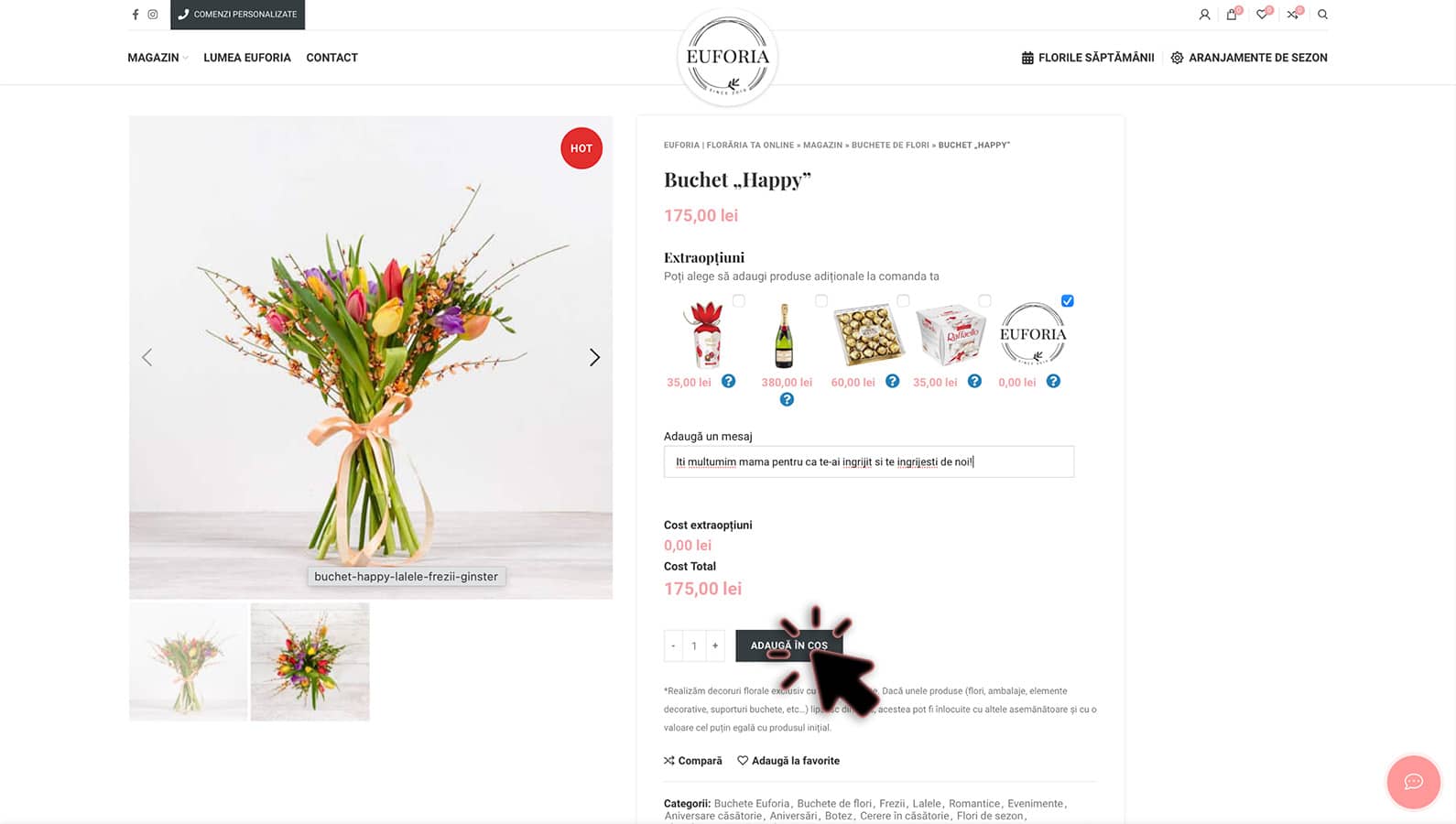 Cum comand?-3 Cum comand?-3